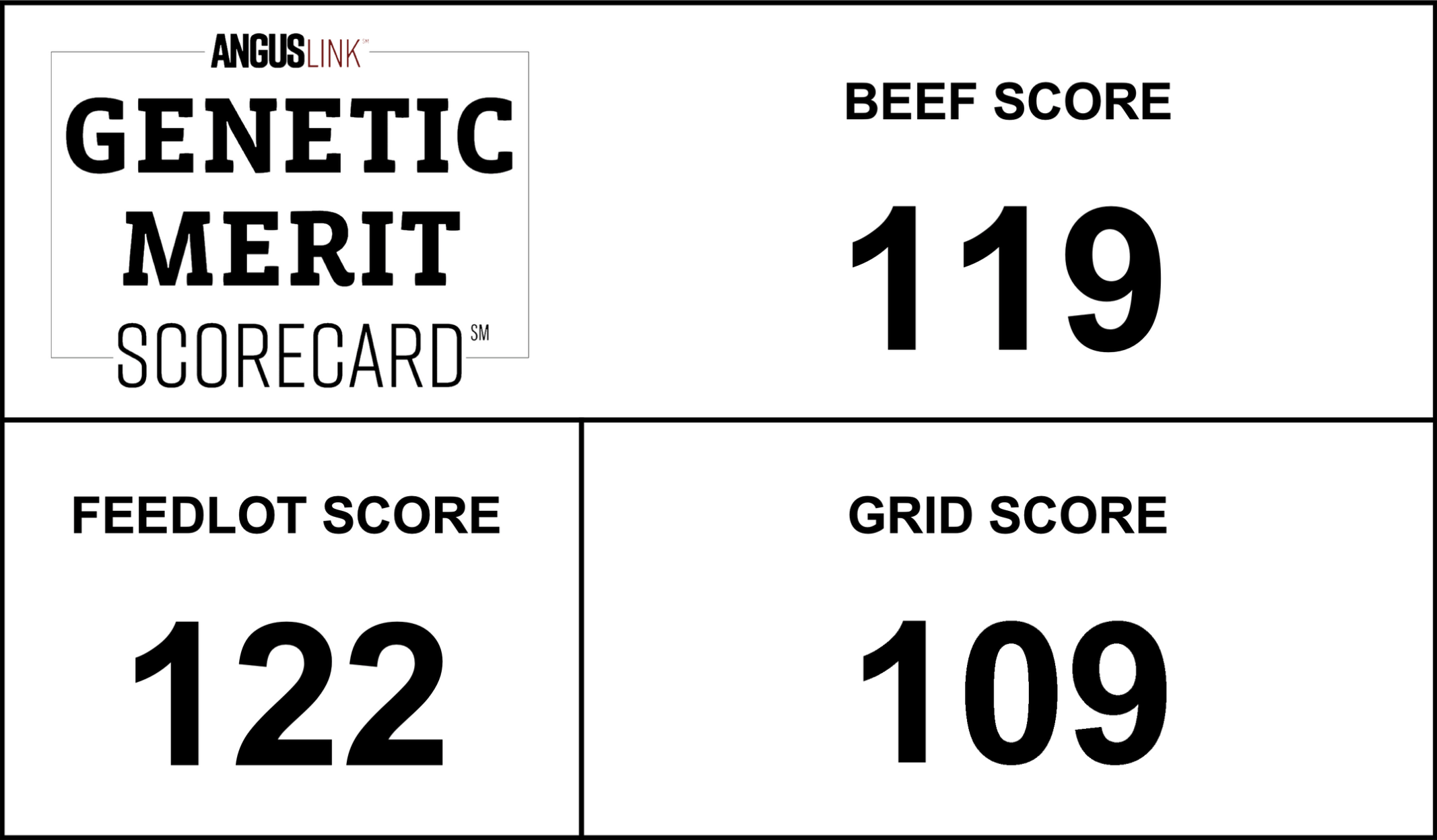 Scorecard Sample 2024