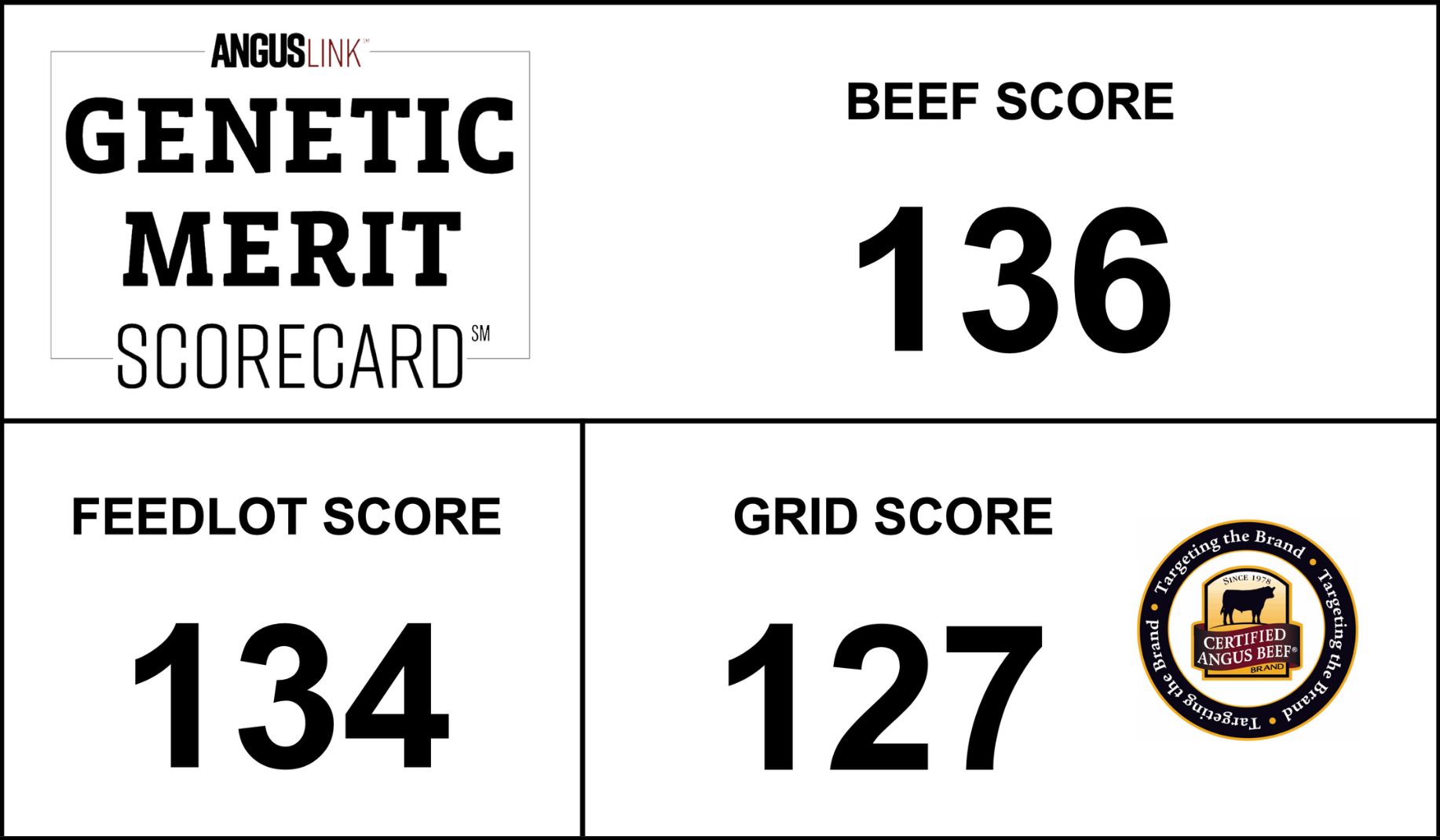 Scorecard Sample with TtB