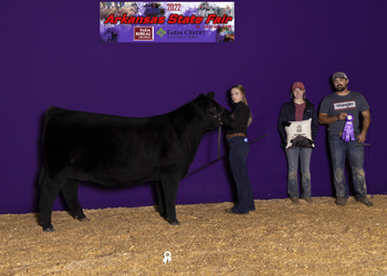 Reserve Grand Champion Female