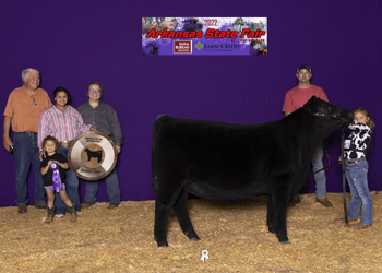 Grand Champion Female