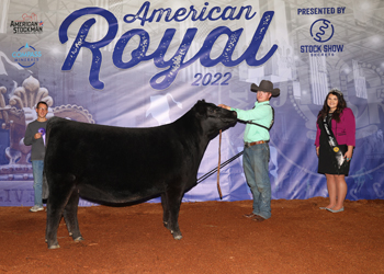 Reserve Senior Champion Female