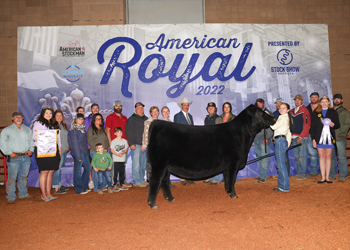 Reserve Grand Champion Female