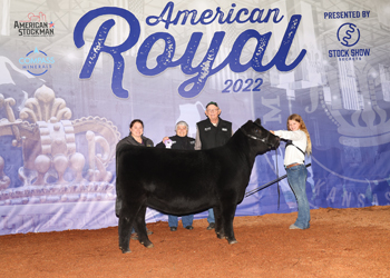 Reserve Senior Heifer Calf Champion