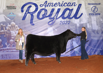 Reserve Senior Champion Female