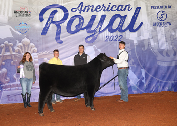 Reserve Intermediate Champion Heifer