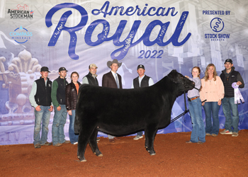 Reserve Grand Champion Female