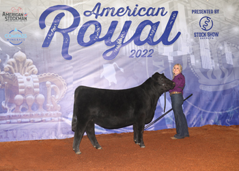 Reserve Senior Heifer Calf Champion