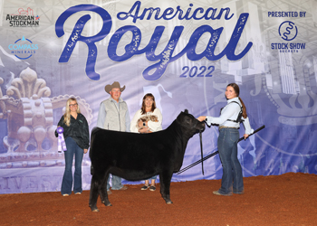 Junior Heifer Calf Champion