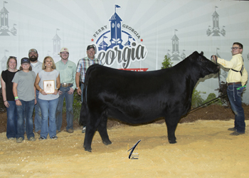 Grand Champion Female