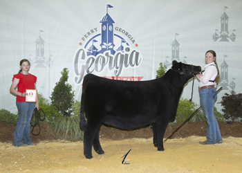 Reserve Grand Champion Female