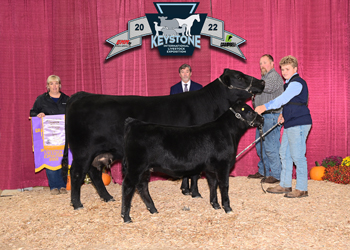 Reserve Grand Champion Cow-calf Pair