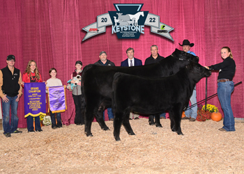 Grand Champion Cow-calf Pair