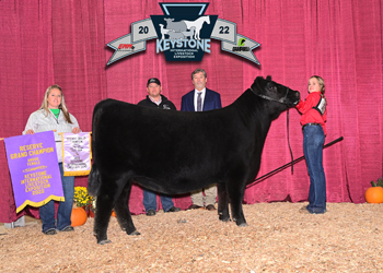 Reserve Grand Champion Female