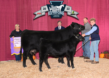 Reserve Grand Champion Cow-calf Pair