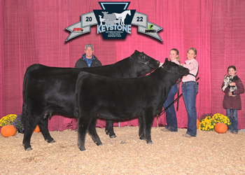 Grand Champion Cow-calf Pair