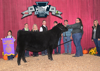 Reserve Grand Champion Owned Female