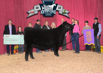 Grand Champion Owned Female