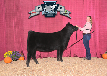 Reserve Grand Champion Bred-and-owned Female