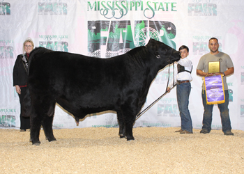 Grand Champion Bull