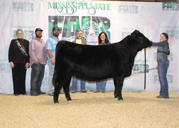 Reserve Grand Champion Owned Female