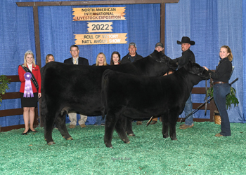 Grand Champion Cow-calf Pair