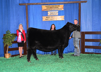 Reserve Junior Heifer Champion-Division 1