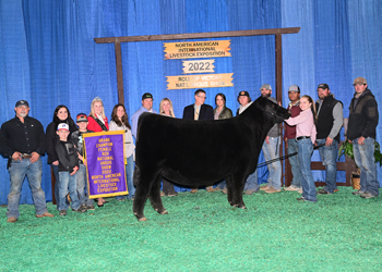 Grand Champion Female