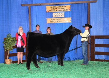 Reserve Senior Heifer Calf Champion-Division 2