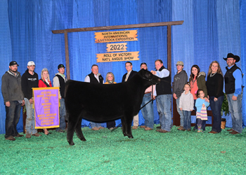 Reserve Grand Champion Female