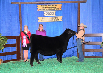 Reserve Senior Heifer Calf Champion-Division 1