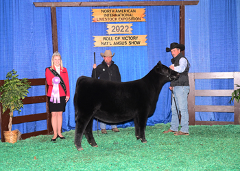 Reserve Junior Heifer Calf Champion - Div 1