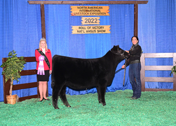 Reserve Junior Heifer Calf Champion - Div 2