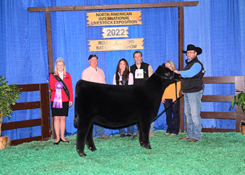 Junior Heifer Calf Champion - Div 1