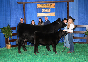 Owned Reserve Senior Champion Female