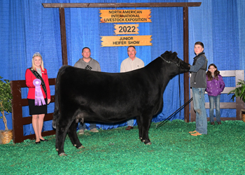 Reserve Grand Champion Bred-and-owned Female