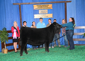 Owned Reserve Junior Champion Heifer--division 1