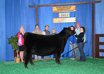 Owned Junior Champion Heifer--division 1