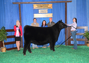 Owned Reserve Intermediate Champion Heifer