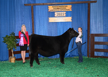 Champion Senior Heifer Calf - Division 1