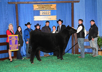 Grand Champion Bred-and-owned Female