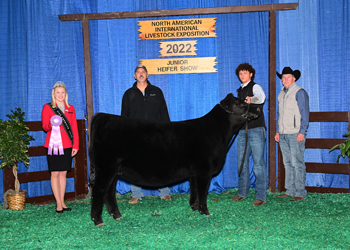 Reserve Champion Junior Heifer Calf - Division 2