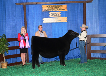 Reserve Champion Senior Heifer Calf - Division 1