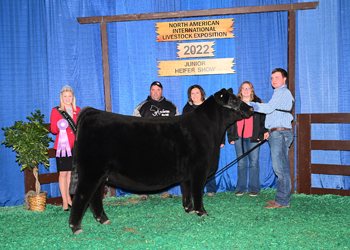 Owned Reserve Junior Champion Heifer--division 2