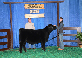 Junior Heifer Calf Champion-Division 2