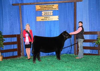 Bred-and-owned Reserve Junior Heifer Calf Champion