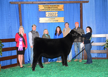 Champion Junior Heifer Calf - Division 1