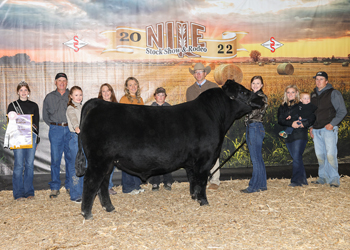 Reserve Grand Champion Bull