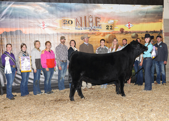 Reserve Grand Champion Female