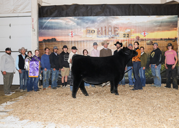 Grand Champion Female