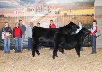 Grand Champion Cow-calf Pair